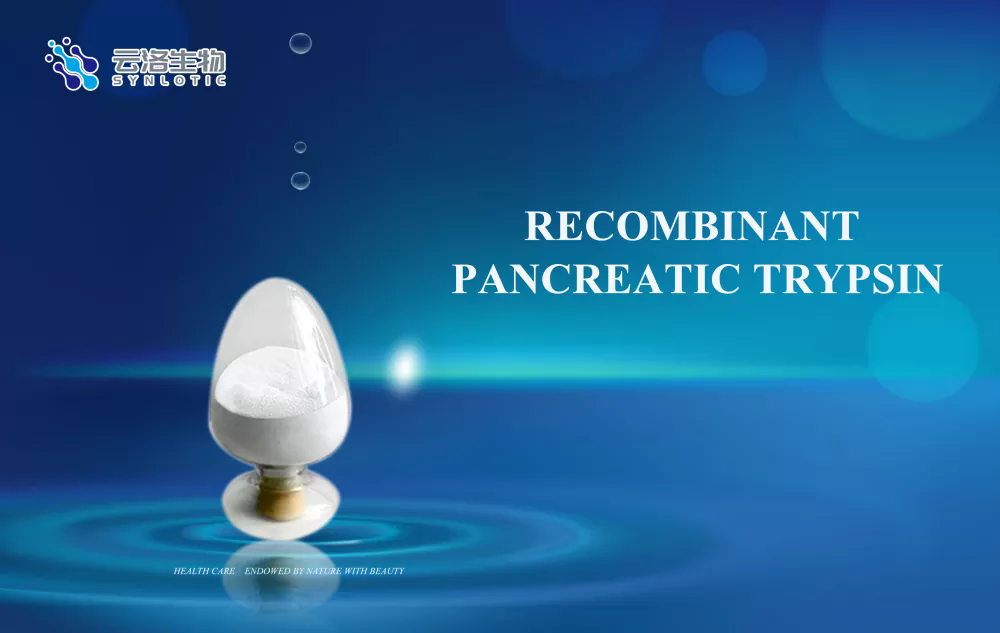 Що таке рекомбінантний трипсин підшлункової залози та яка його функція?