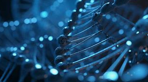 Ерготіонеїн: «Антиоксидантне золото» в індустрії здорового харчування